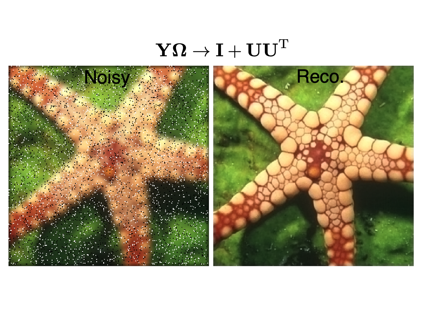 RandomizedNys_TCI2025.png